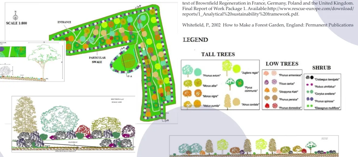 Figure 2. Project plan of Food forest and Synergic vegetable garden