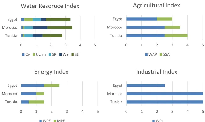 Figure 3.5. Disaggregated scores of the sub-indexes comprising the  water security of Morocco,  Egypt  and  Tunisia  following  the  2016  AWDO  Economic  Water  Security  approach
