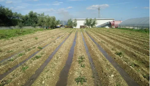 Figure 5.3 – Field test of the gated pipe in the CIHEAM Bari experimental station 