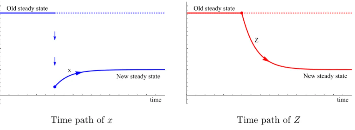 Figure 1: Self-depleting (f Z &lt; 0): Short and long-run response to a price increase