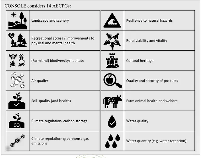 Figure 6 and 7 show that all CONSOLE AECPGs were addressed directly and/or indirectly in at  least one of the 60 case studies