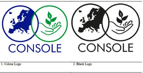 Figure 2. CONSOLE logos 