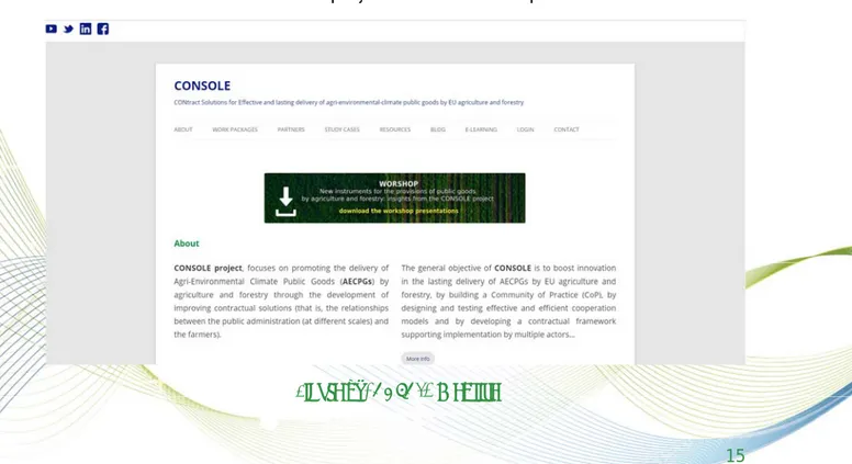 Figure 6. CONSOLE Website 