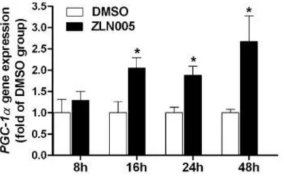 Figura 9b Effetto di ZLN005 nel corso del tempo sui livelli di mRNA di PGC1α  