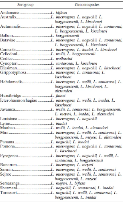 Tabella 3: Genomospecie associate ai sierogruppi  (Levett, 2001).