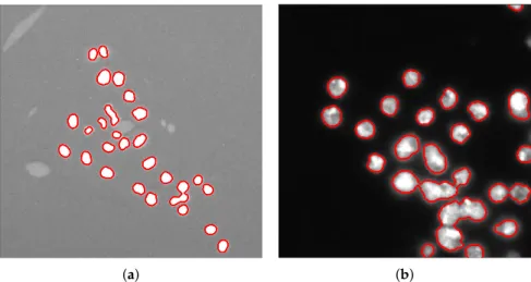 Figure 6. Segmented images obtained after the refinement steps applied to the image shown in Figure 5a (a), and to a sub-image of Figure 5b (b).