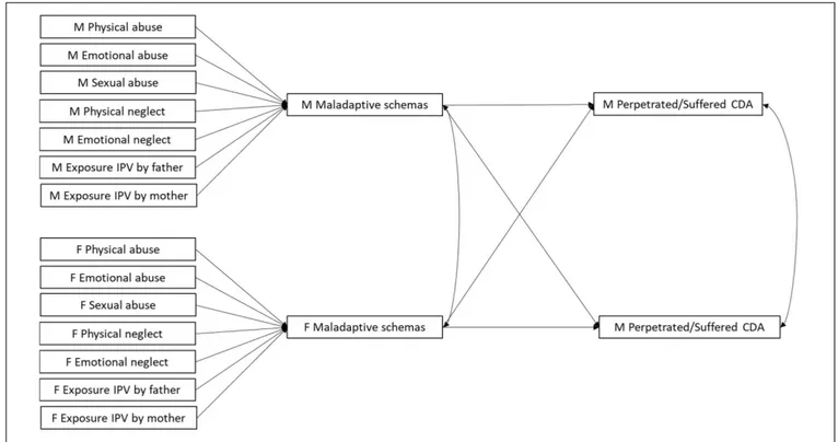 FIGURE 1 | The hypothesized Actor-Partner Interdependence Mediation model (APIMeM). M = males; F = females.