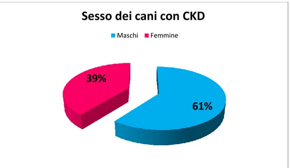 Fig. 9. Grafico a torta che illustra la percentuale di maschi e femmine malati inclusi  nello studio