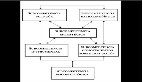 Tabla 8. Los componentes de la CT (extraída de PACTE, 2005: 610) 