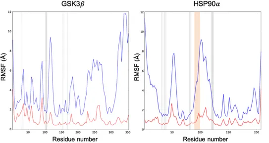 Figure 11. Comparison of the C&#34;-RMSF profile calculated between plain MD simulations (red) and sMD  simulations with a scaling factor of 0.5 (blue)