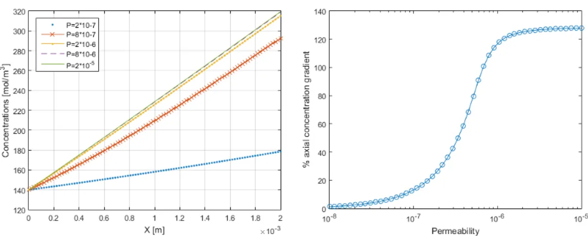 Figure 3.4: Concentration profiles for V m,2 = 2πr 2,e · 10 −4 [mol.m −1 .s −1 ]