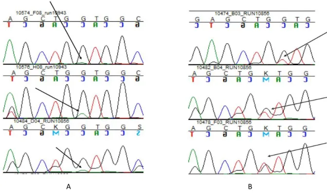 Figura  7:  A)  Esempi  di  scarso  arricchimento  di  cellule  tumorali;  B)  Esempi  di  medio/alto  arricchimento