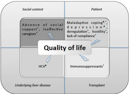 Figure 4. Main factors influencing the quality of life of patients during the transplant process