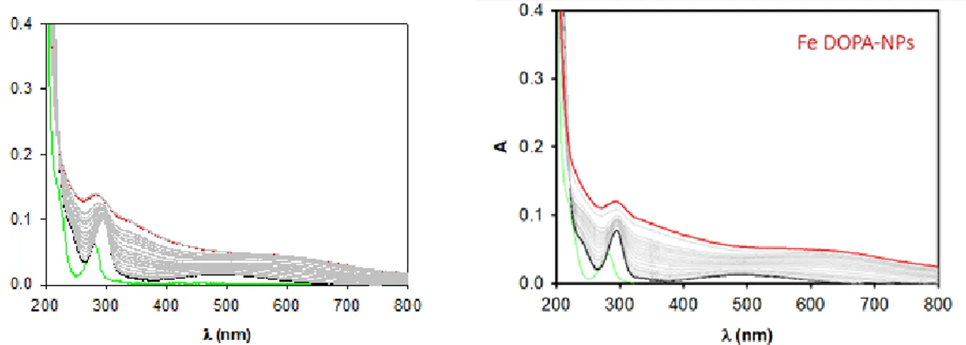Fig. 8.3 on the left: absorption spectra of Fe_PDA at different time; on the right: absorption spectra of Fe_LDT_PDA at different  time 