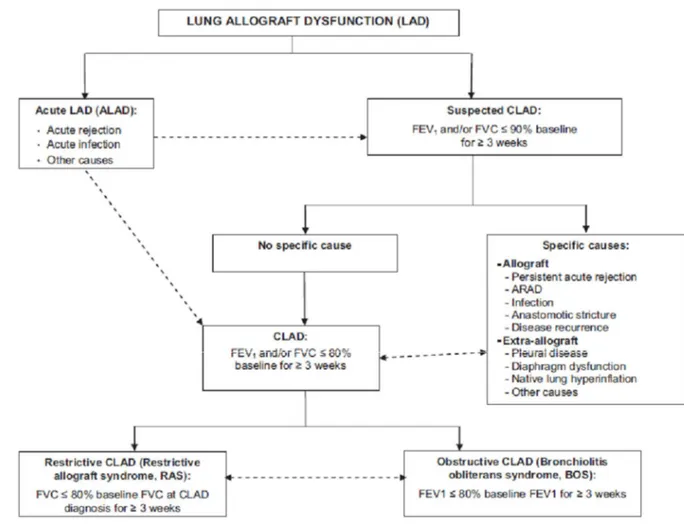Figure 1.3. This flow chart suggests an approach that can be used to evaluate a lung transplant  recipient’s decline in post-bronchodilator forced expiratory volume in 1 second (FEV1) with or  without  a  decline  in  forced  vital  capacity  (FVC)  of  Z 