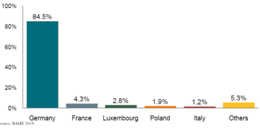 Figure 2.4: Top Countries issuing the EU Blue Card