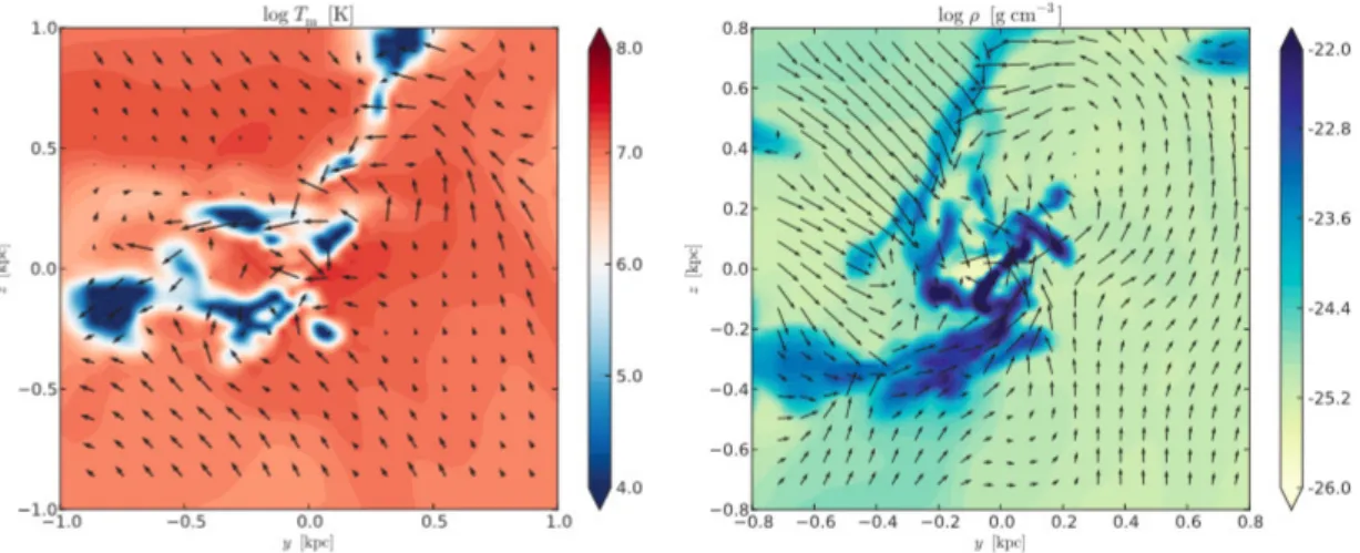 Figure 1.12: Snapshots of the logarithmic-scale temperature (left) and density (right) distributions (in units of K and g cm −3 , respectively) of the cooling gas in simulations of chaotic cold accretion (Gaspari et al
