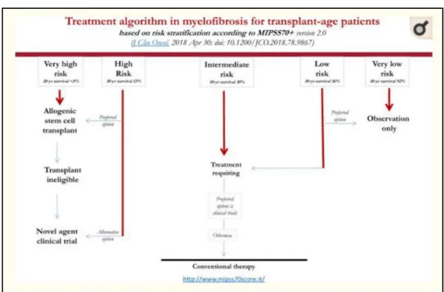 Fig 4: The therapeutic approach to MF based on the risk assessment using the MIPSS70 + method (13)