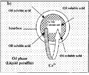 Figure 1.6.  Examples of methodologies for synthesis of ionic gels. a) External gelation b) internal  gelation