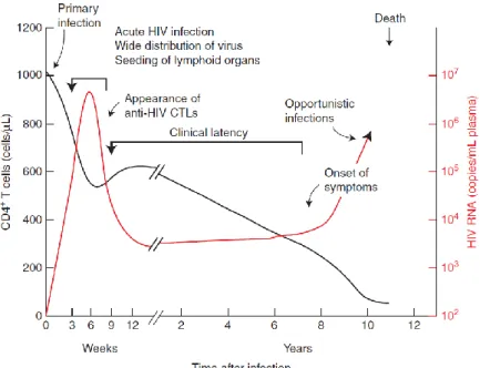 Figura 8. Evoluzione dell’andamento delle cellule T CD4 +  e della viremia plasmatica durante  l’infezione da HIV (Coffin, Swanstorm 2013)
