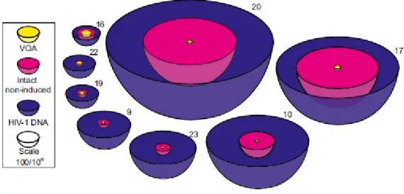 Figura 9. Rappresentazione in scala della frequenza delle cellule T CD4 +  infette e la relativa  capacità  di  quantificazione  da  parte  alcune  delle  più  note  metodiche  utilizzate  (Ho  et  al