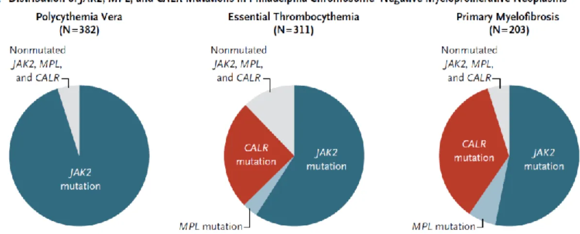 Figura  4.  Frequenza  delle  mutazioni  di  JAK2,  CALR  e  MPL  tra  le  neoplasie  mieloproliferative  croniche  (tratto  da  Krampfl  et  al