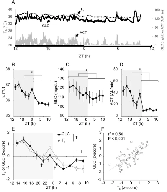 Figure 8. Blood glucose, core body temperature, and activity in ad lib fed C57Bl/6J male mice  in thermoneutrality