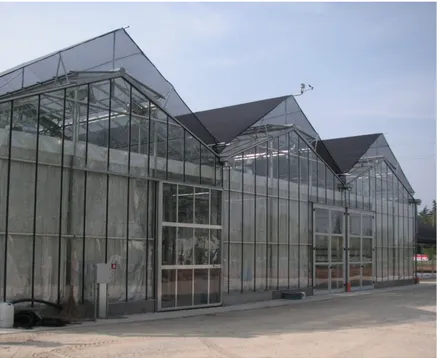 Figure 2.3: Picture of a double-pitched greenhouse with several spans, of an experimental structure of Unibo, in Imola.
