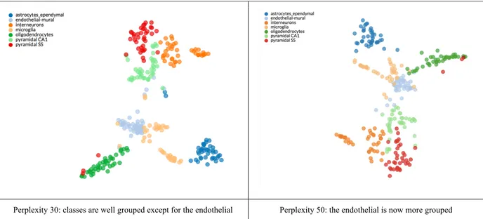 Table 4: example of t-SNE: visualization of cell types in the mouse cortex and hippocampus