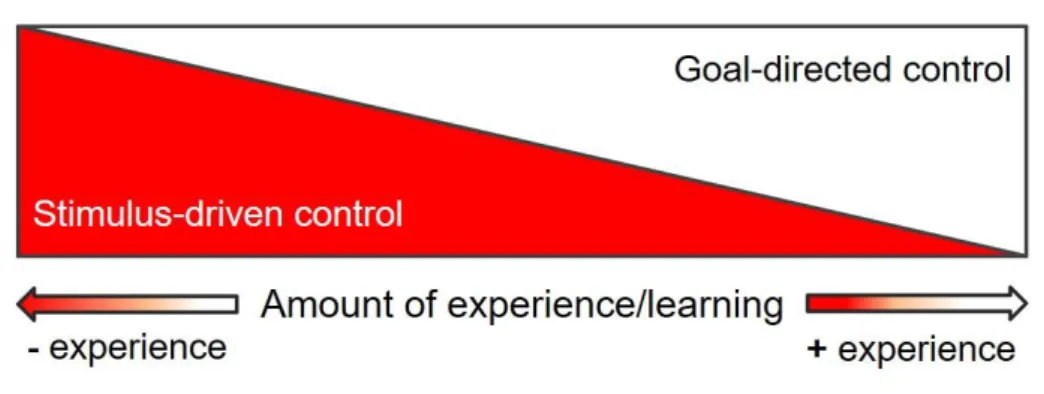Figure 1.3. The “experience-based attentional tuning” framework. Modified from Vecera et al., 2014 