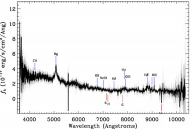 Fig. 5. Optical spectra (taken from SDSS-DR12) of
