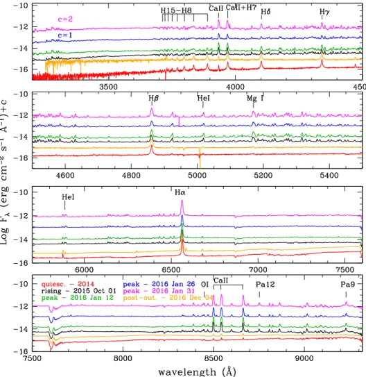 Figure 3. Optical (LBT/MODS) spectra of V1118 Ori taken in 2016 January (peak: green, blue, and pink) and 2016 December (post-outburst: orange), shown in comparison with the spectra taken in quiescence (red, Paper I ) and during the rising phase (black, Pa