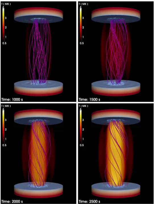 Figure 8 shows radial pro ﬁles of the density, temperature, pressure, magnetic ﬁeld intensity, azimuthal component of the magnetic ﬁeld, and current density at the top of the loop and at the end of our simulation