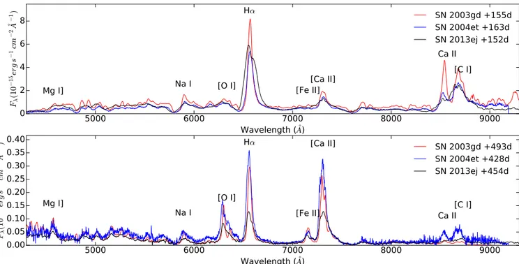 Figure 12. Optical spectra of SN 2013ej compared to other SNe at day ∼150 and ∼450. Spectra of SN 2013ej are dereddened and flux calibrated using multiband photometry interpolated or extrapolated to those epochs