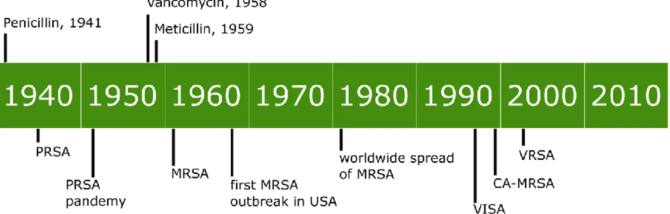 Figure  2  Emergence  of  antibiotic  resistance  in  time.  The  panel  shows  the  timeline  of  the  introduction  of  new  antibiotics  in  medical  use,  and  the  following  emergence  of  antibiotic  resistant  strains