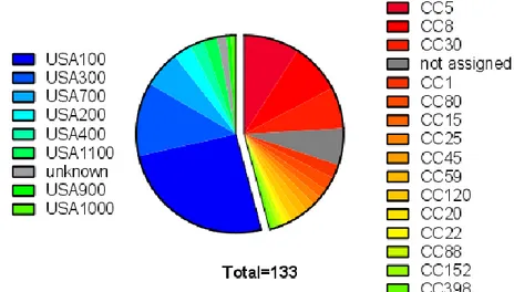 Figure  6.  Lineages  in  the  S.  aureus  collection.  The  collection  is  divided  in  two  main  subsets  according  to  the  typing  method  used