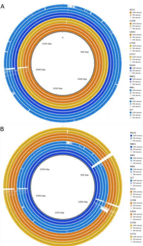 Figure 8. Comparative genomic analysis using N315 or Mu50 as reference. The figure shows the  genetic  identity  between  the  USA100  strains  and  the  reference  strains  N315  and  Mu50