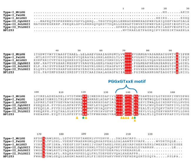 Figure  7. Sequence alignment  between LOG proteins  from various subtypes and BP1253