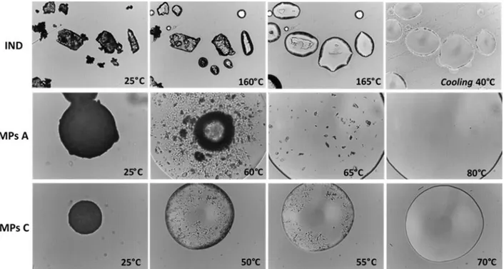 Figure I.3. HSM images of pure IND, MPs A and MPs C during heating. For all images the magnification was set at 20x.