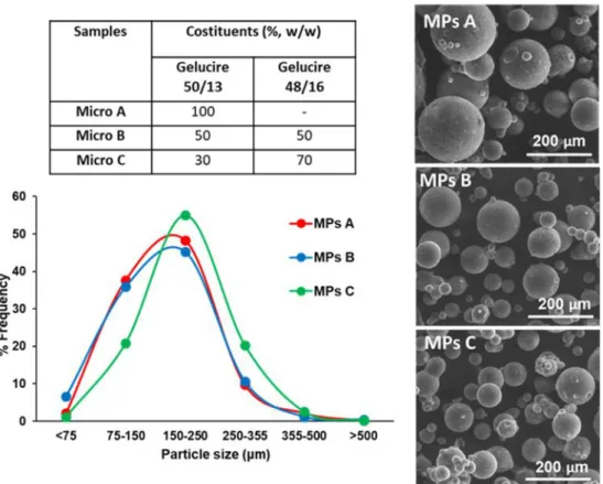 Figure II.2.Composition, particle size distribution and SEM images of unloaded MPs.