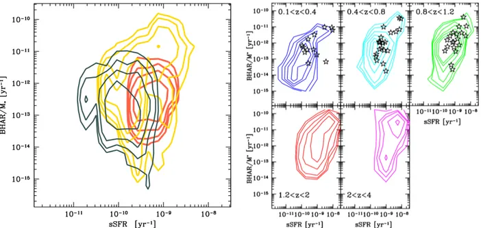 Fig. 8. Left: BHAR/M ∗ rate vs. sSFR contours obtained from the simulations presented in Volonteri et al