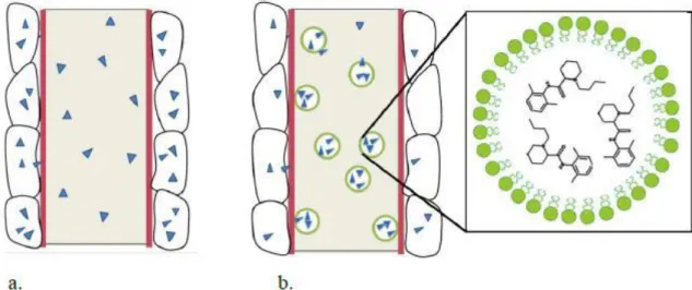 Figura  8:  Schema  del  meccanismo  d'azione  lipid  sink:  a)  la  concentrazione  del  principio  attivo nei tessuti è in equilibrio con la quota di sostanza libera nel plasma sanguigno b) le  gocce  lipidiche  agiscono  come  spugne,  intrappolando  le