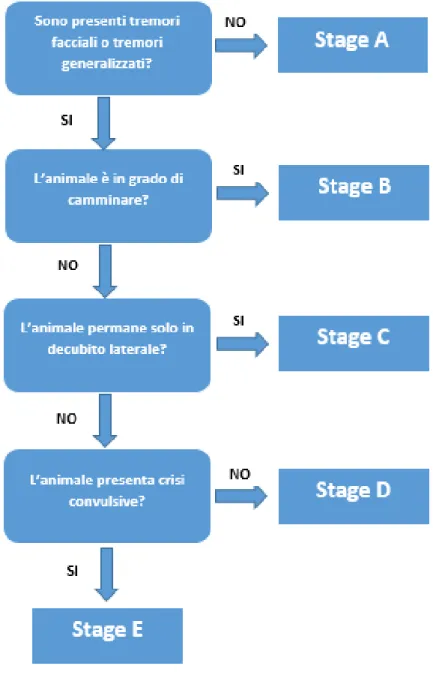 Figura 1: sistema di stadiazione 