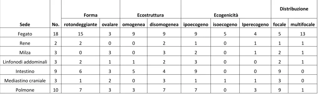 Tabella 5. Rilievi ecografici bidimensionali delle lesioni incluse nel gruppo ECO2D. 