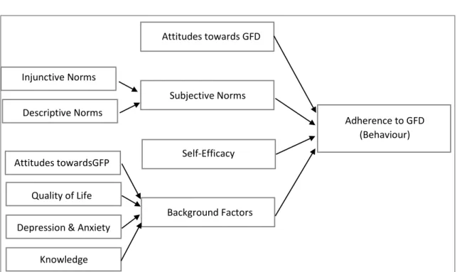Figure 4-6 Intention to initiate the GFD explained by the Multi Theory Model   Injunctive Norms Attitudes towards GFD Descriptive Norms Subjective Norms Self-Efficacy Background Factors Attitudes towardsGFP Knowledge Depression &amp; Anxiety 