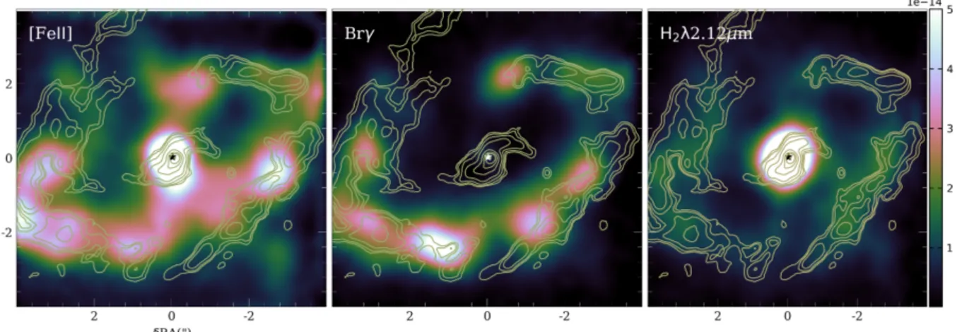 Fig. 13. Comparison between the CO(3–2) emission, shown in contours, with the [Fe ii ] (left), Brγ (middle), and H 2 λ2.12µm (right) emission in the 8 00 × 8 00 FoV of the SINFONI observations (Falcón-Barroso et al