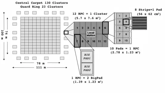 Figure 1: The ARGO-YBJ detector setup. The Cluster (12 RPCs) is the basic module. The Local Station (LS) is the DAQ unit providing local trigger and readout.