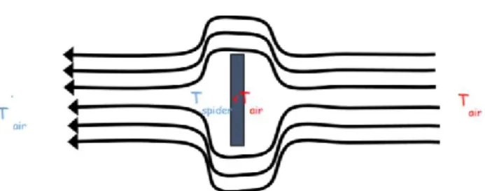 Figure 8: Scenario of the LWE: the radiative transfer  decreases the temperature of the spider