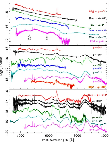 Figure 4. Comparison of ASASSN-15nospectra at three key phases with those of reference objects