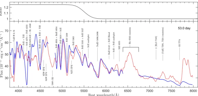 Figure 13. SYNOW model (blue) of the t=53.0 day spectrum of ASASSN-15nx (red). Observed ﬂuxes are corrected for extinction